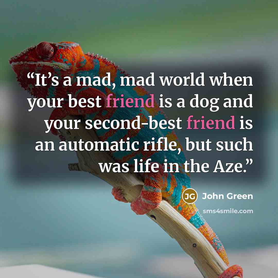 “It’s a mad, mad world when your best friend is a dog and your second-best friend is an automatic rifle, but such was life in the Aze.” quote by John Green