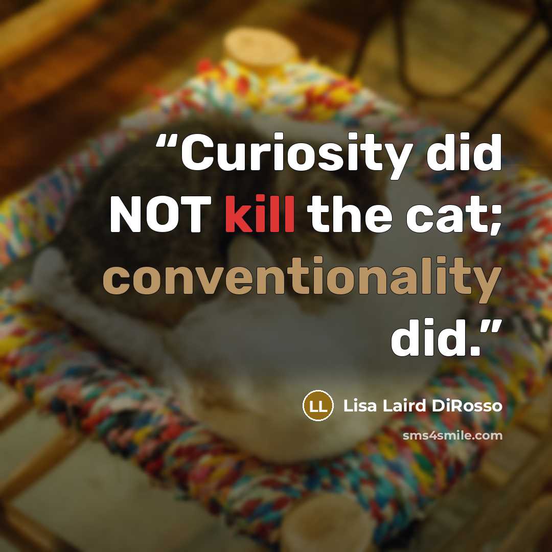 “Curiosity did NOT kill the cat; conventionality did.” quote by Lisa Laird DiRosso