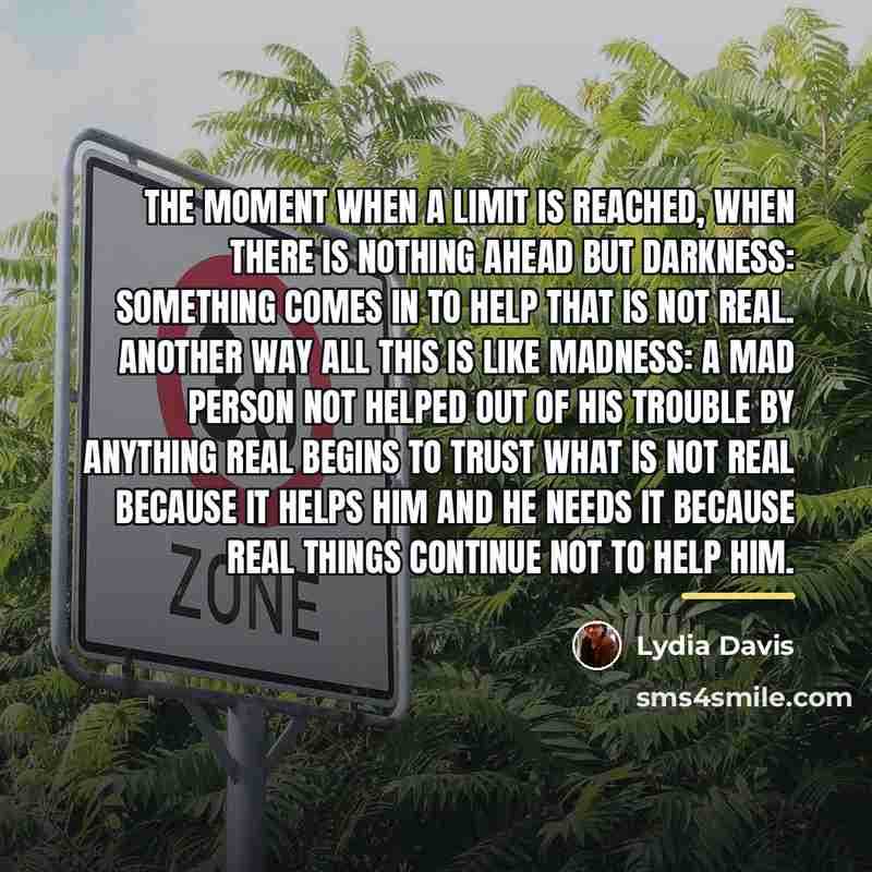 “The moment when a limit is reached, when there is…” quote by Lydia Davis