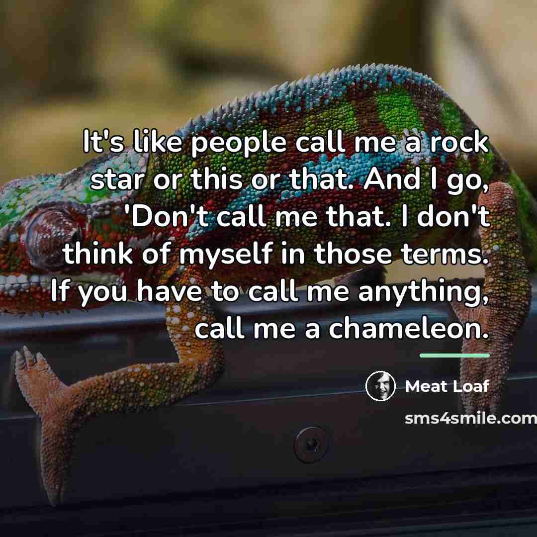 “It's like people call me a rock star or this…” quote by Meat Loaf