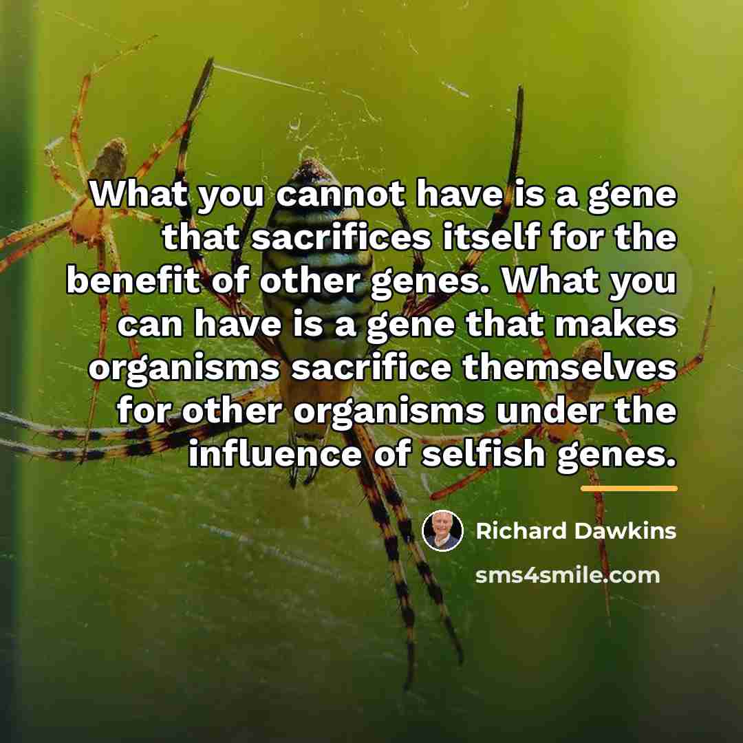 “What you cannot have is a gene that sacrifices itself…” quote by Richard Dawkins