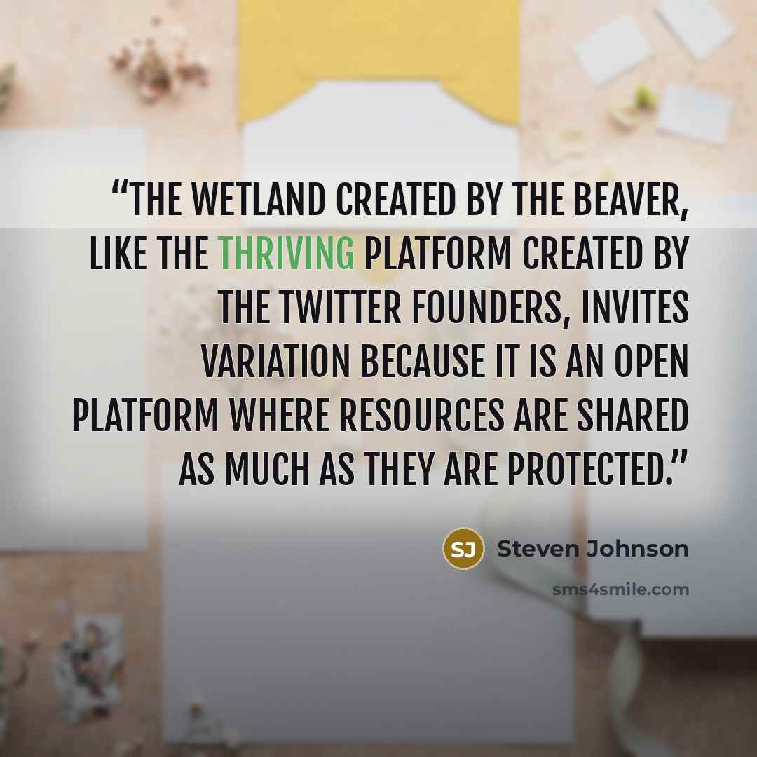 “The wetland created by the beaver, like the thriving platform created by the Twitter founders, invites variation because it is an open platform where resources are shared as much as they are protected.” quote by Steven Johnson