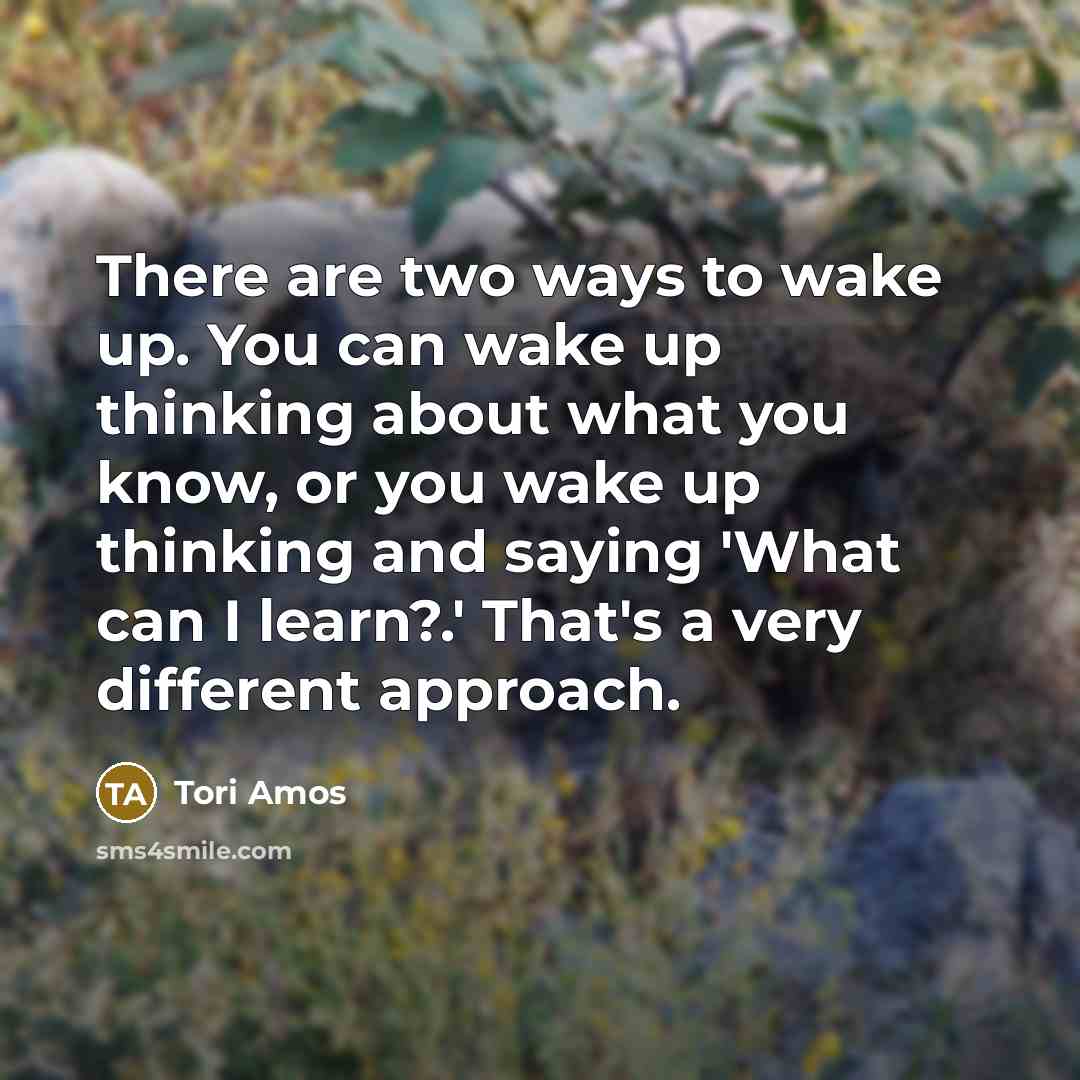 “There are two ways to wake up. You can wake…” quote by Tori Amos