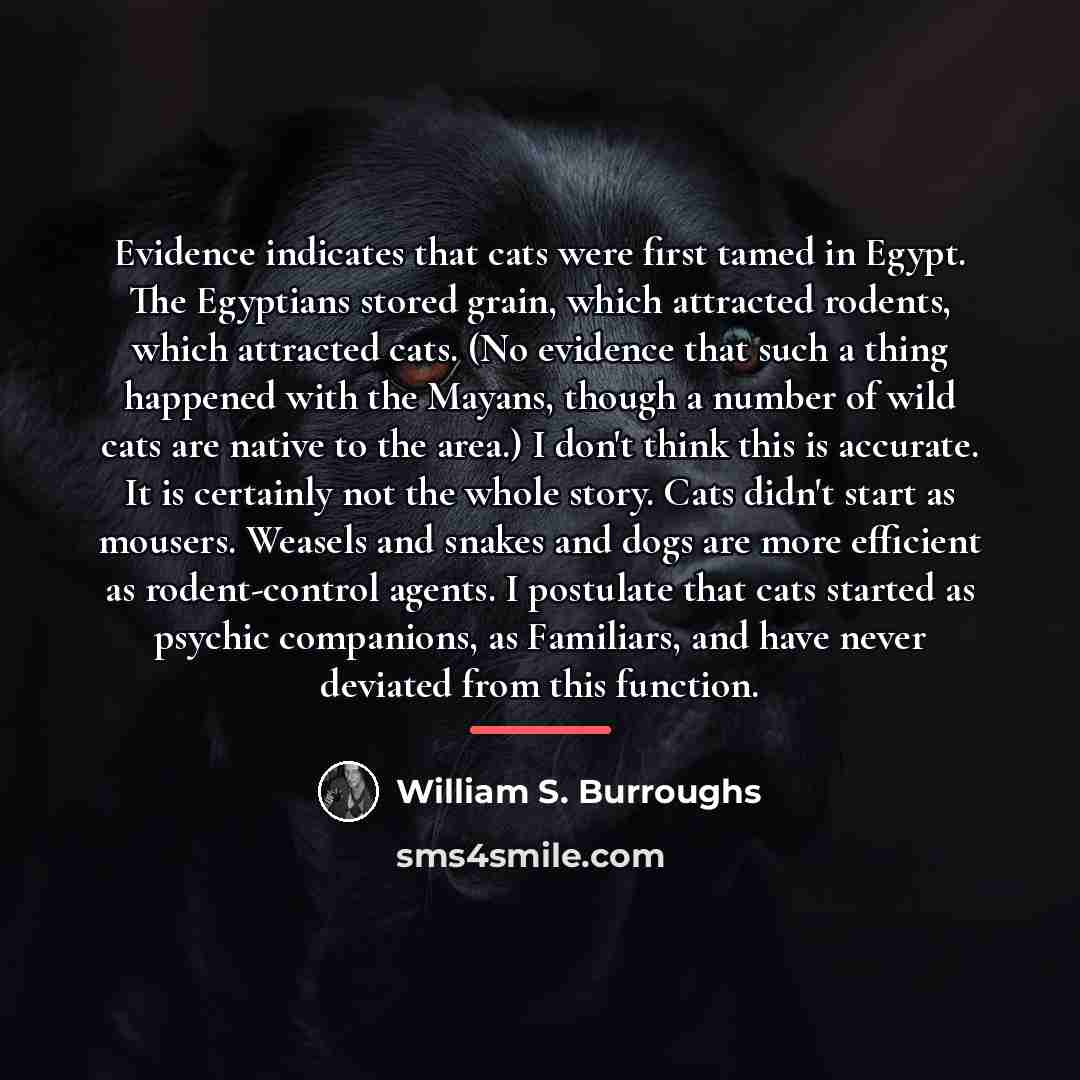 “Evidence indicates that cats were first tamed in Egypt. The…” quote by William S. Burroughs