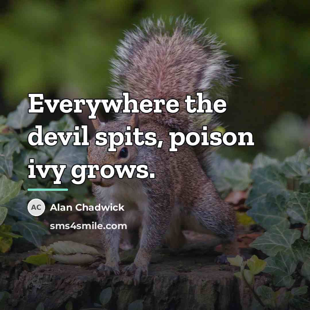 “Everywhere the devil spits, poison ivy grows.…” quote by Alan Chadwick