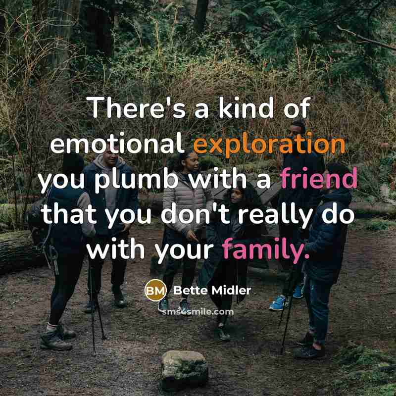 “There's a kind of emotional exploration you plumb with a…” quote by Bette Midler