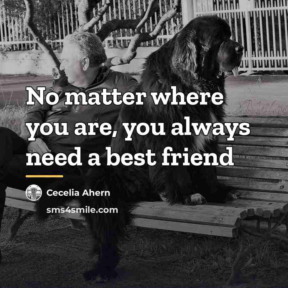 “No matter where you are, you always need a best…” quote by Cecelia Ahern