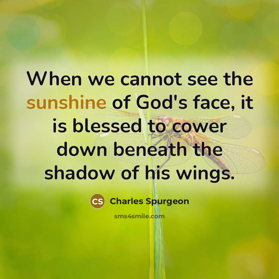 “When we cannot see the sunshine of God's face, it…” quote by Charles Spurgeon