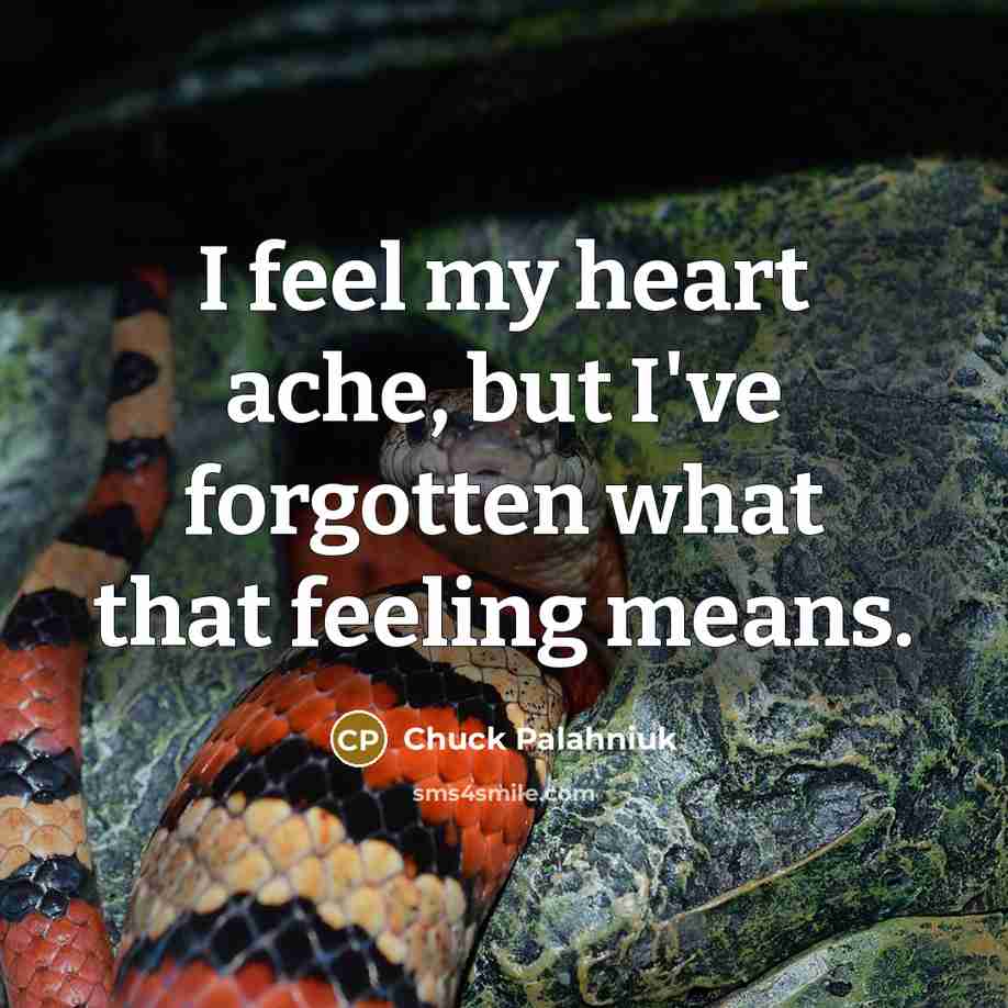 “I feel my heart ache, but I've forgotten what that…” quote by Chuck Palahniuk