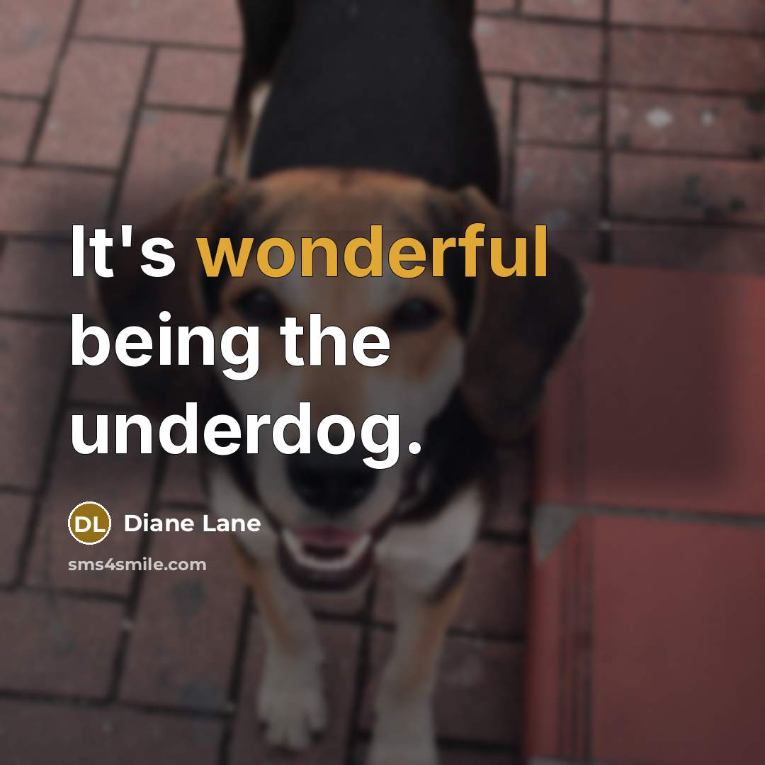 “It's wonderful being the underdog.…” quote by Diane Lane