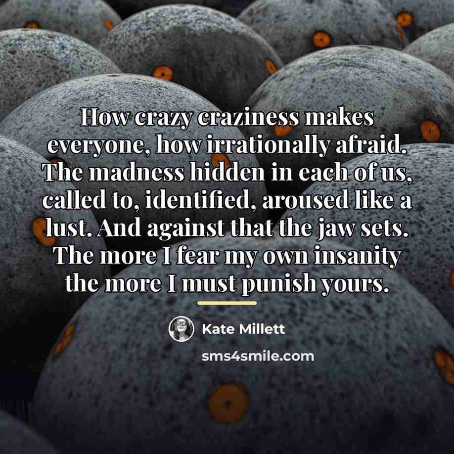 “How crazy craziness makes everyone, how irrationally afraid. The madness…” quote by Kate Millett