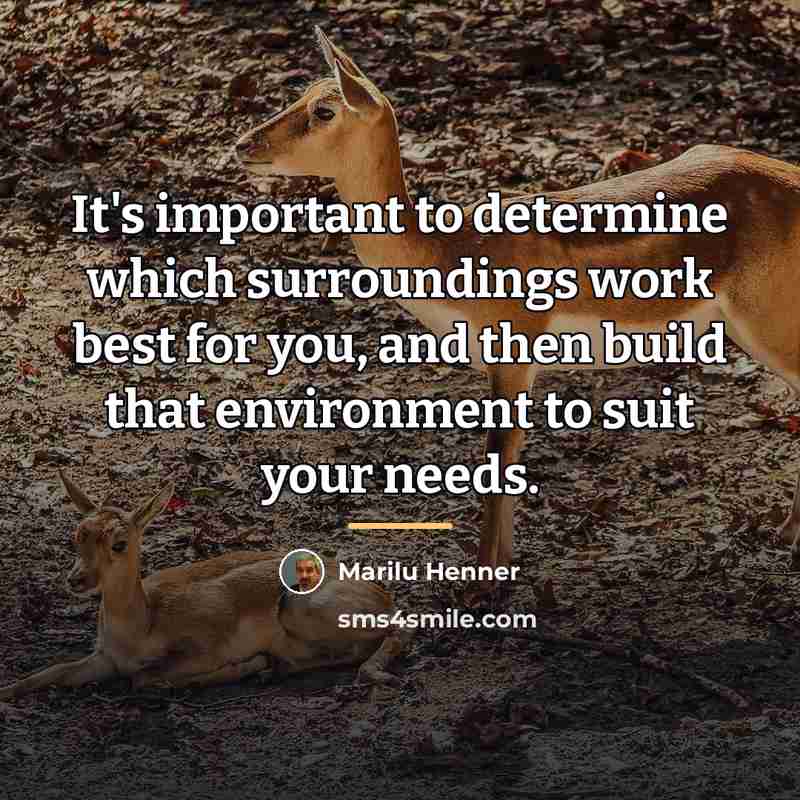 “It's important to determine which surroundings work best for you,…” quote by Marilu Henner