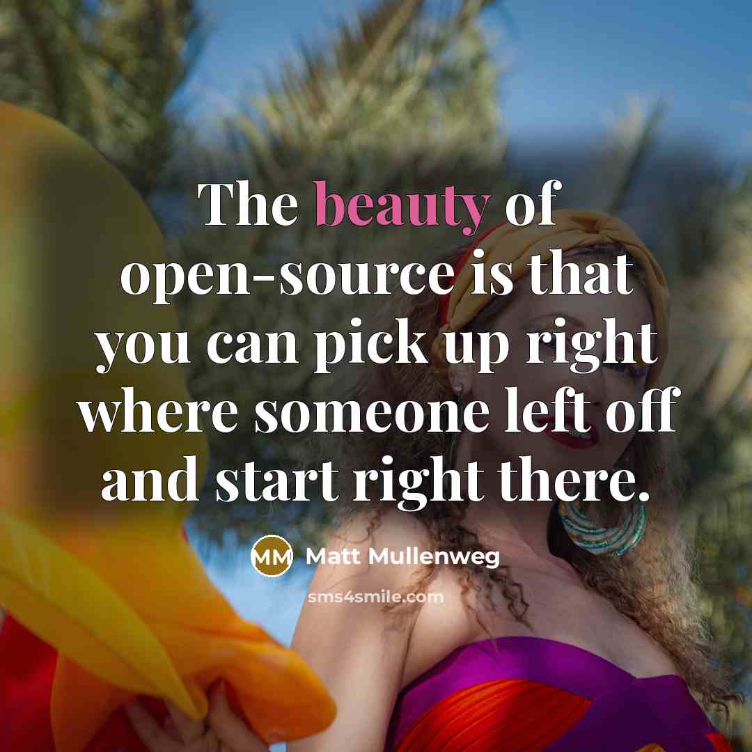 “The beauty of open-source is that you can pick up…” quote by Matt Mullenweg