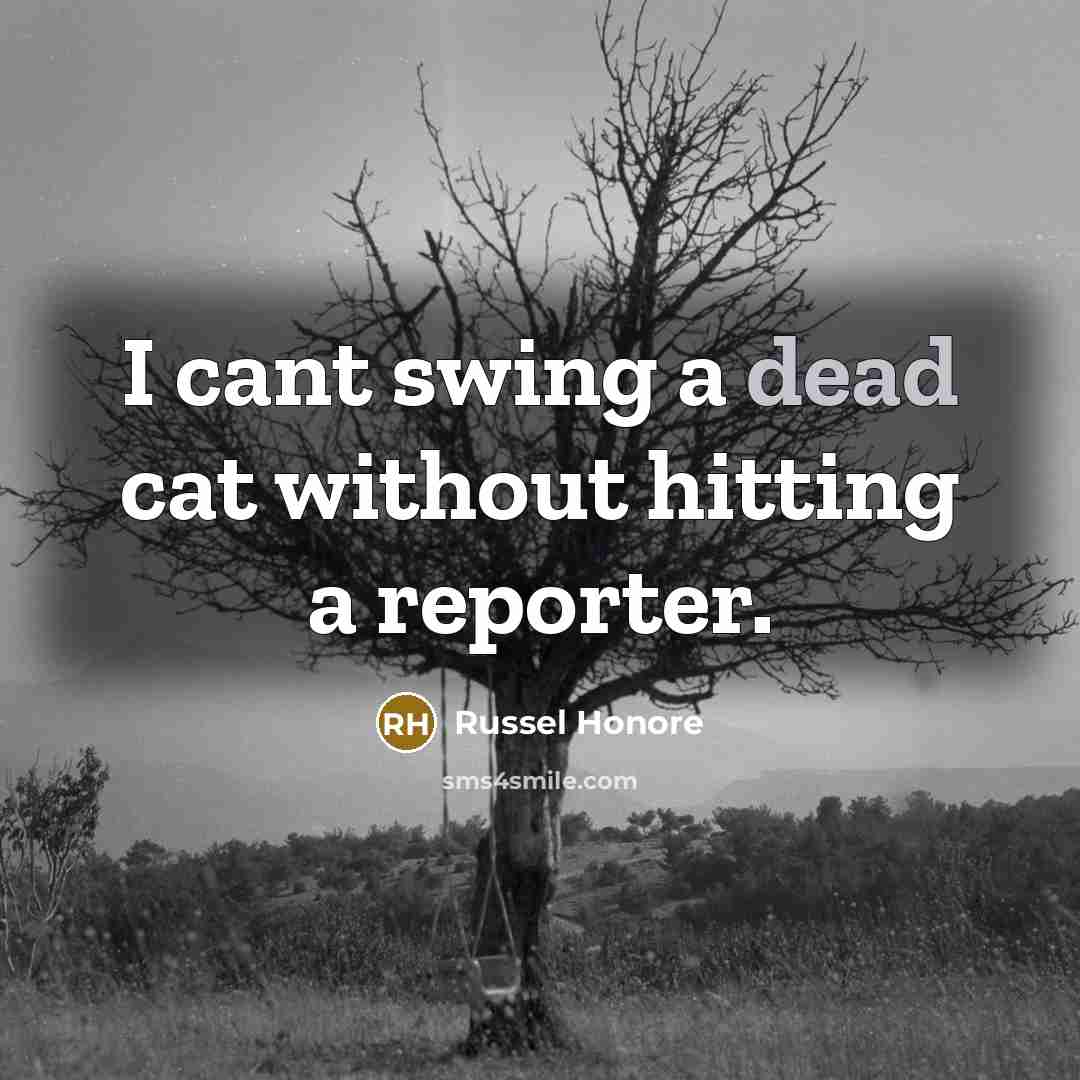 “I cant swing a dead cat without hitting a reporter.…” quote by Russel Honore
