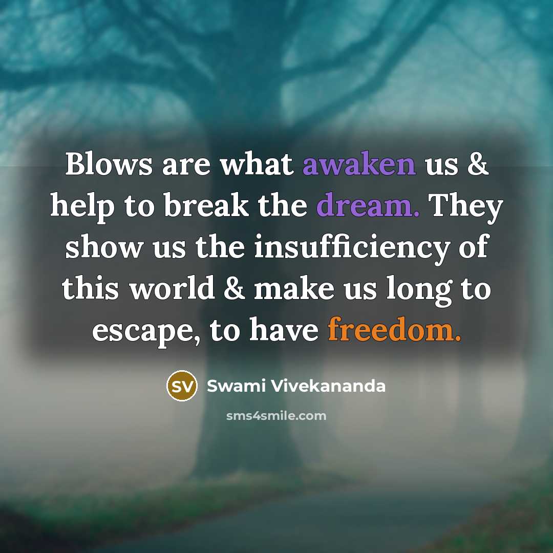 “Blows are what awaken us & help to break the dream. They show us the insufficiency of this world & make us long to escape, to have freedom.” quote by Swami Vivekananda