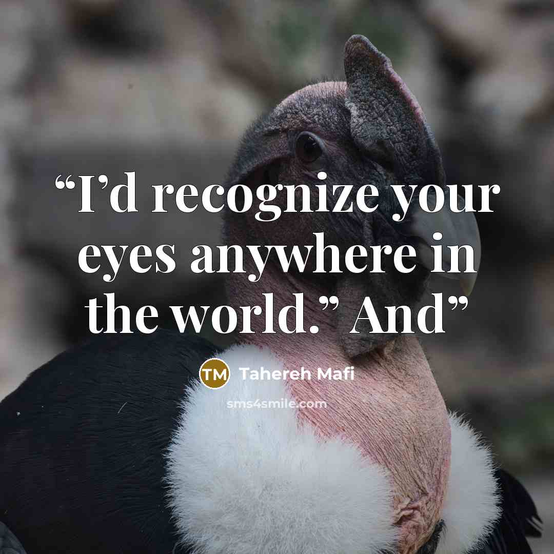 “I’d recognize your eyes anywhere in the world.” And” quote by Tahereh Mafi