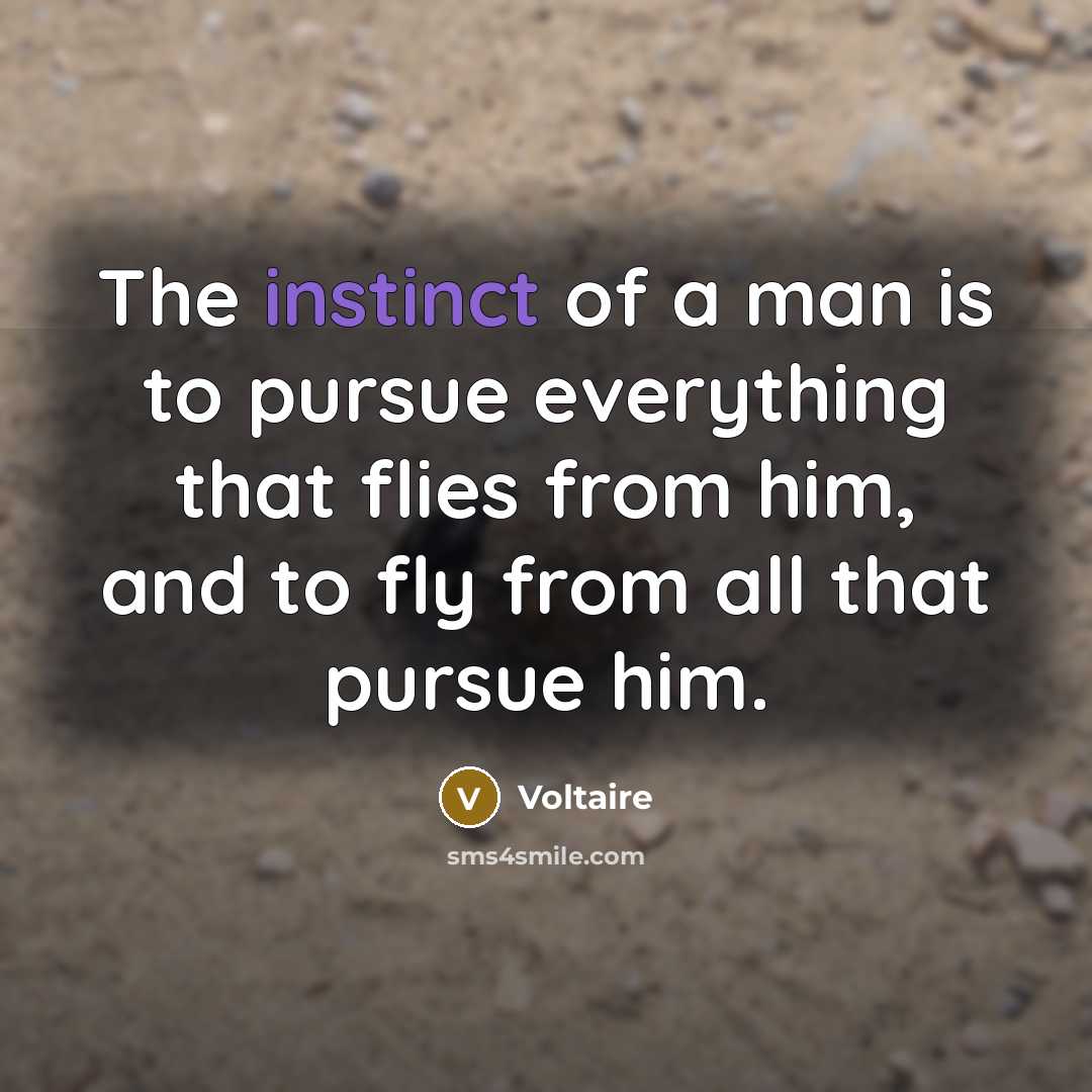 “The instinct of a man is to pursue everything that…” quote by Voltaire