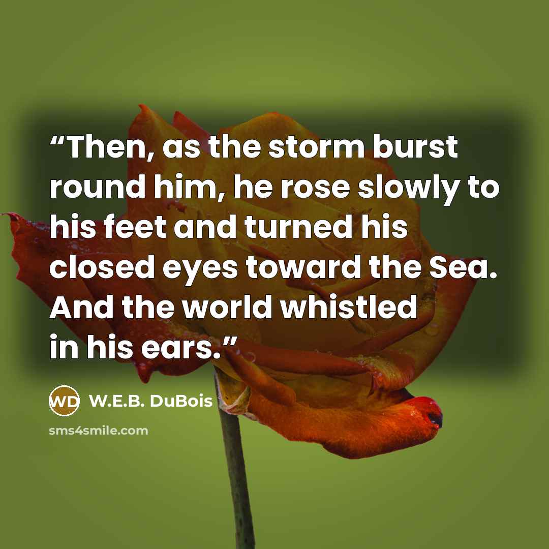 “Then, as the storm burst round him, he rose slowly to his feet and turned his closed eyes toward the Sea. And the world whistled in his ears.” quote by W.E.B. DuBois