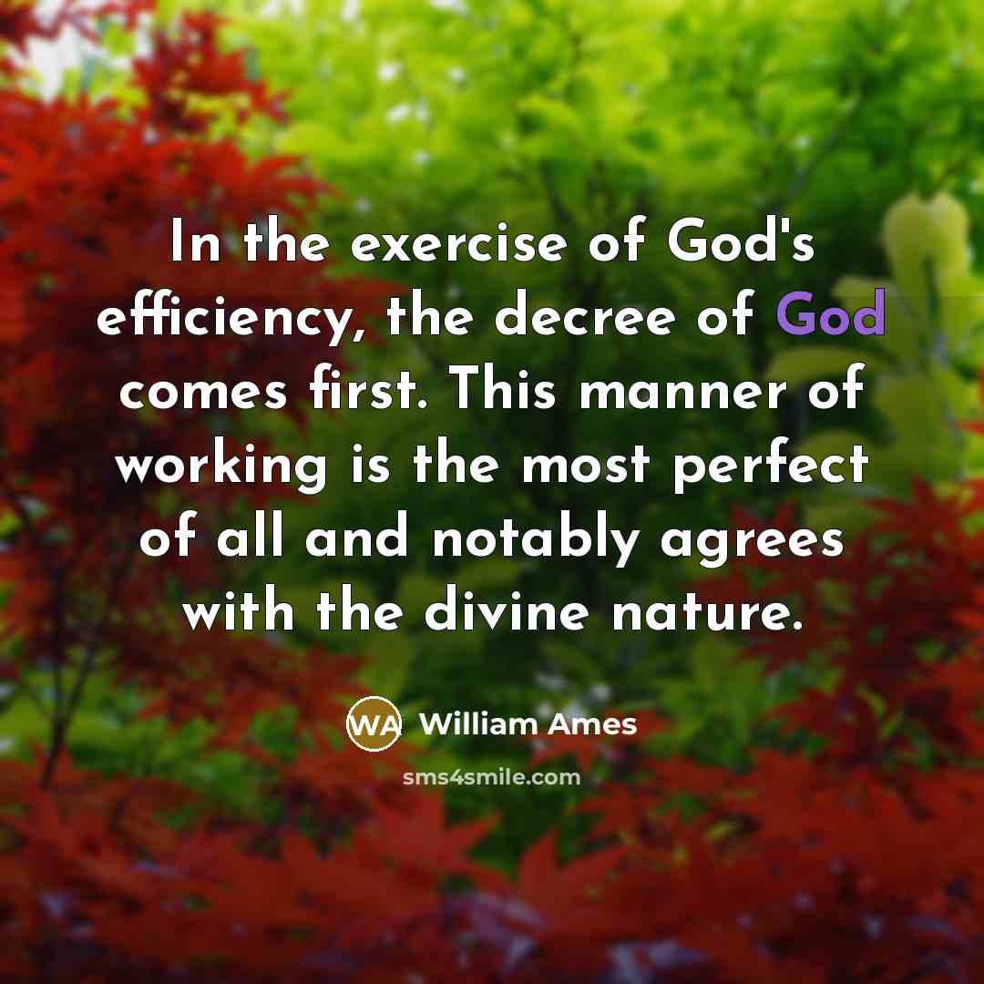 “In the exercise of God's efficiency, the decree of God…” quote by William Ames