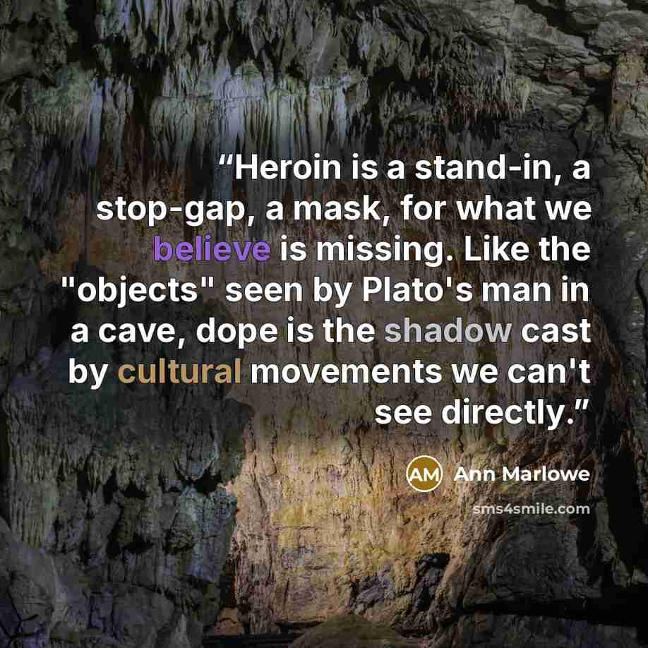 “Heroin is a stand-in, a stop-gap, a mask, for what we believe is missing. Like the "objects" seen by Plato's man in a cave, dope is the shadow cast by cultural movements we can't see directly.” quote by Ann Marlowe