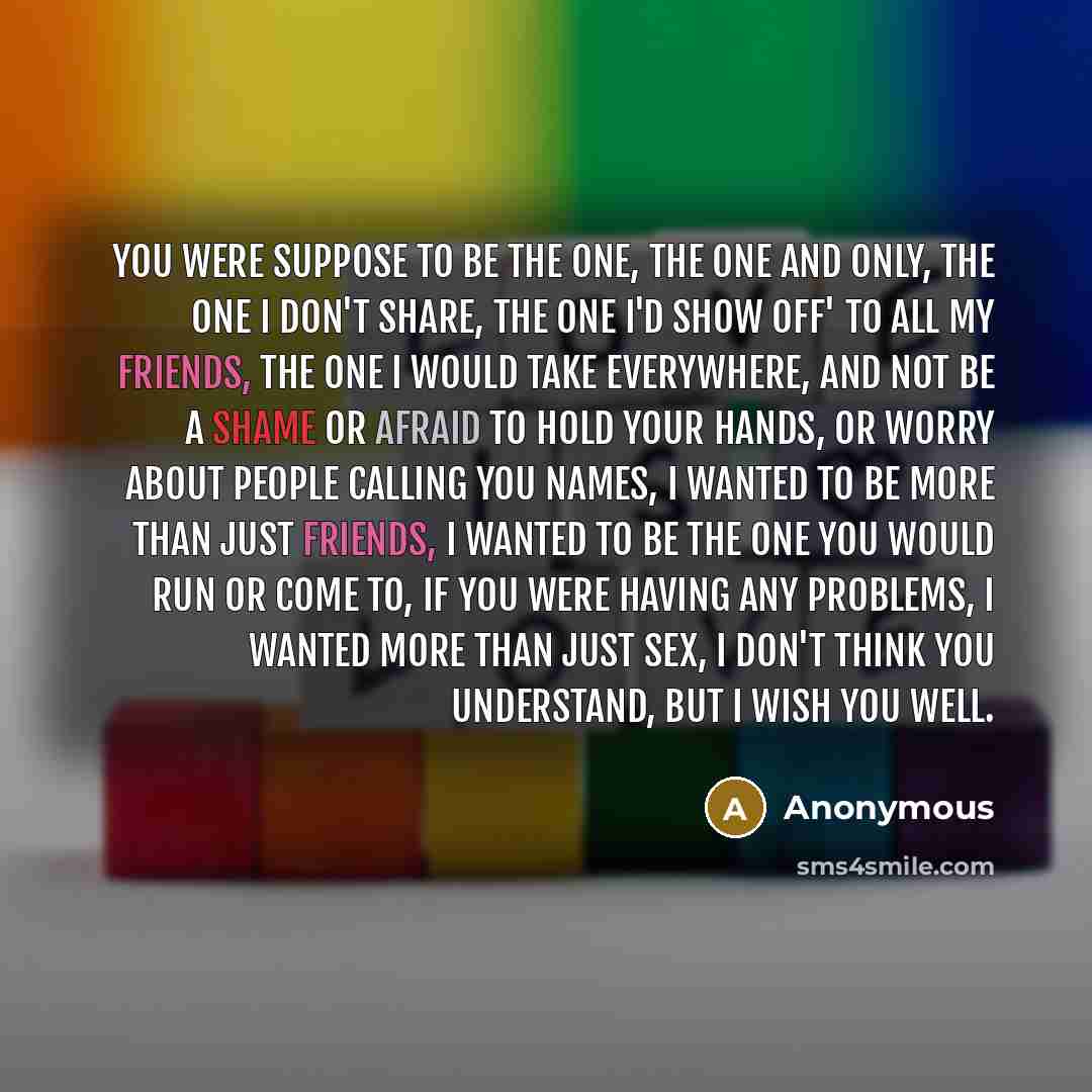 “You were suppose to be the one, the one and only, the one I don't share, the one I'd show off' to all my friends, the one I would take everywhere, and not be a shame or afraid to hold your hands, or worry about people calling you names, I wanted to be more than just friends, I wanted to be the one…” quote by Anonymous