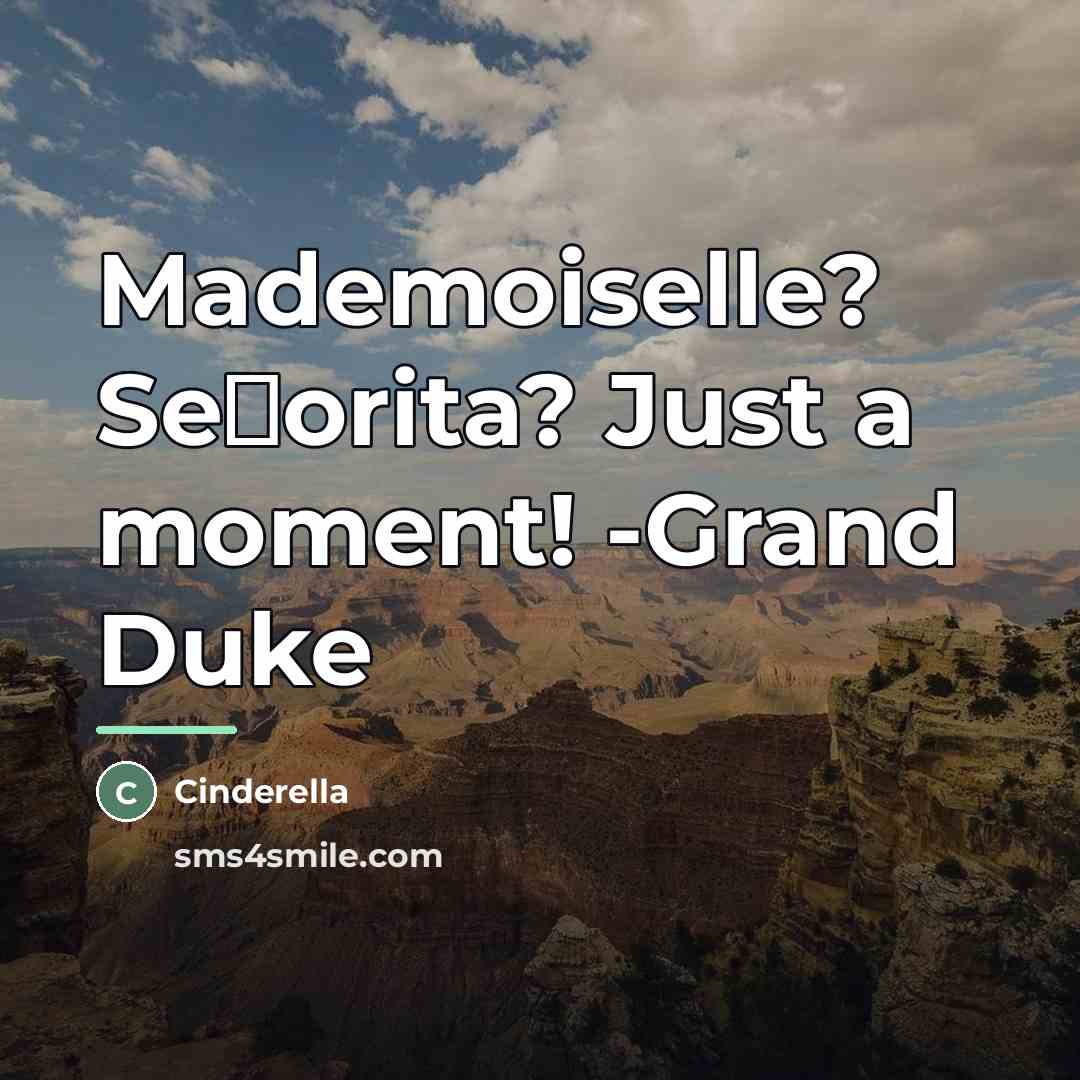 “Mademoiselle? Se�orita? Just a moment! -Grand Duke…” quote by Cinderella