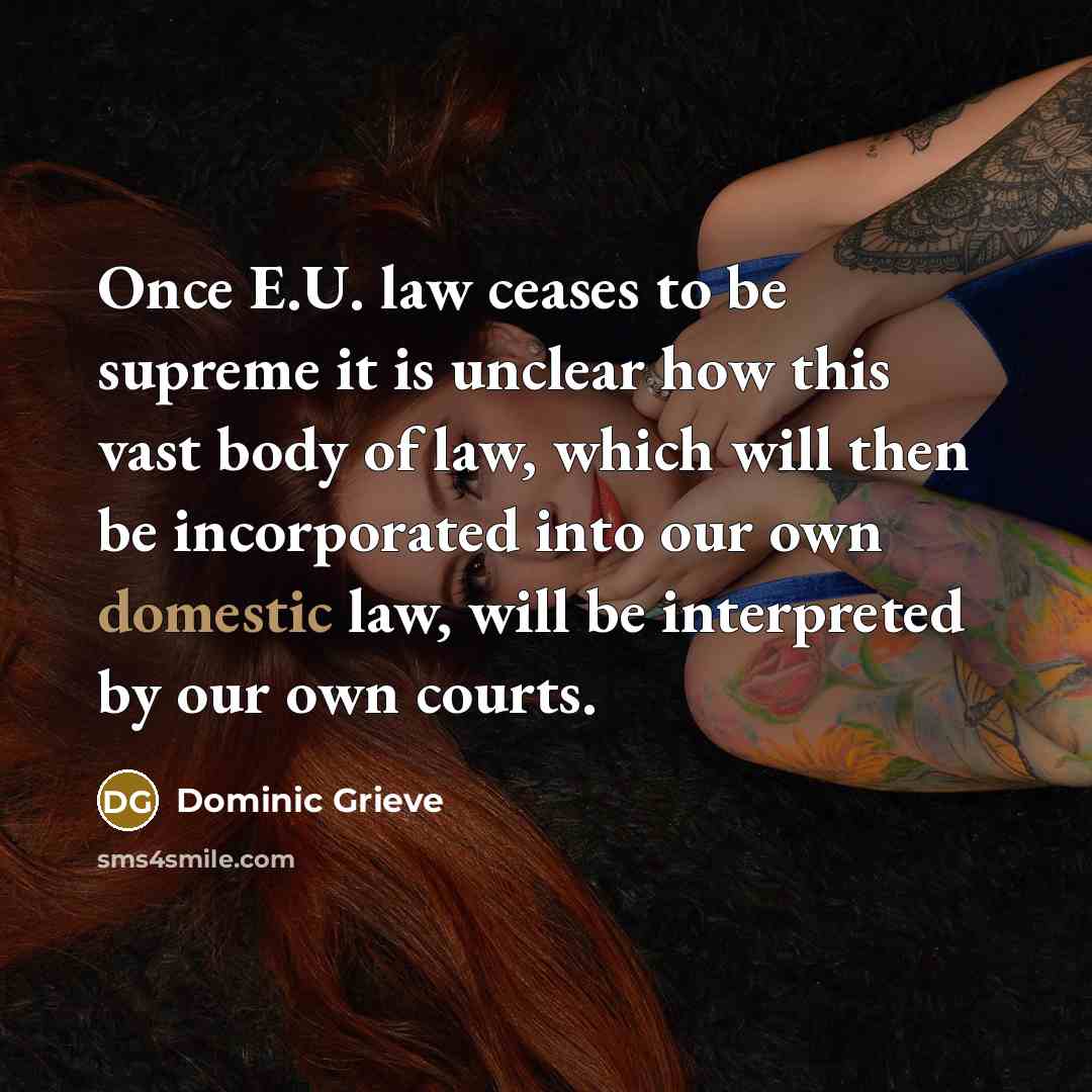 “Once E.U. law ceases to be supreme it is unclear…” quote by Dominic Grieve