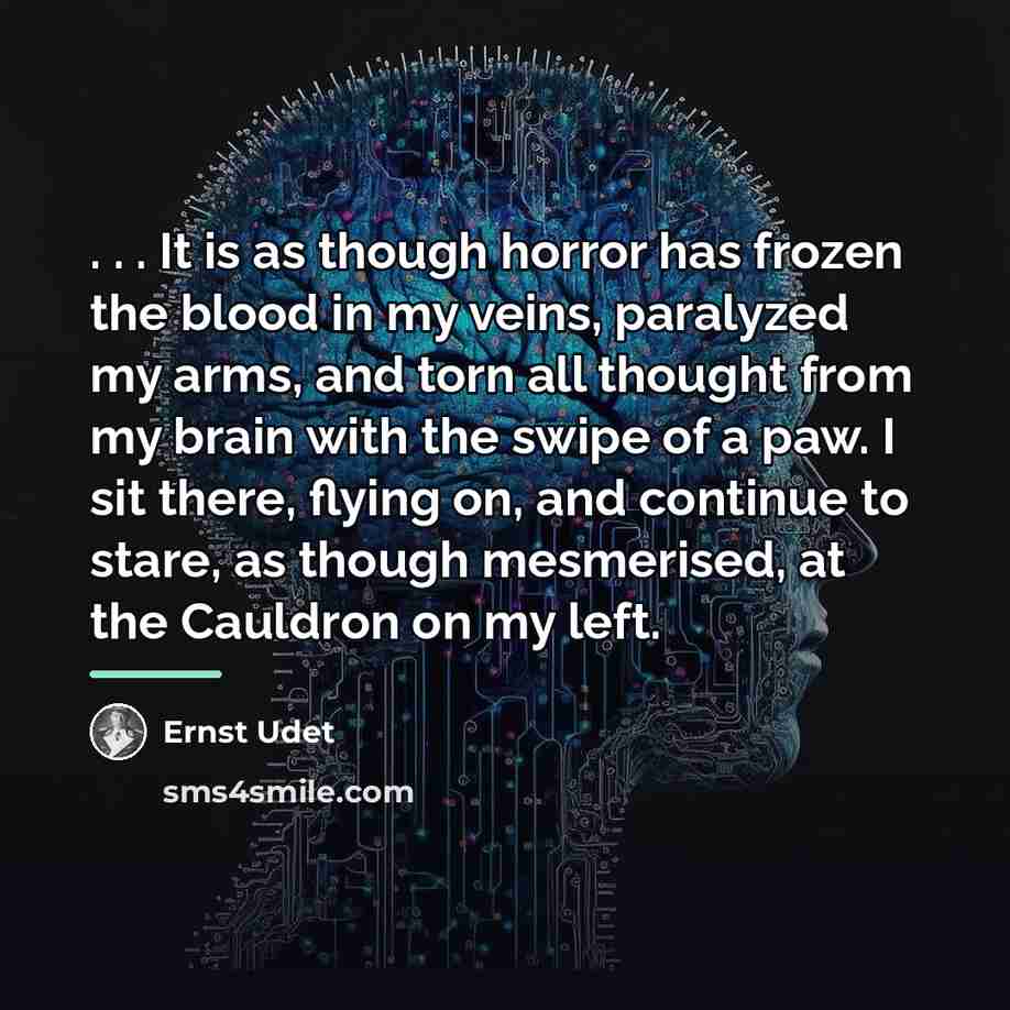 “. . . It is as though horror has frozen…” quote by Ernst Udet