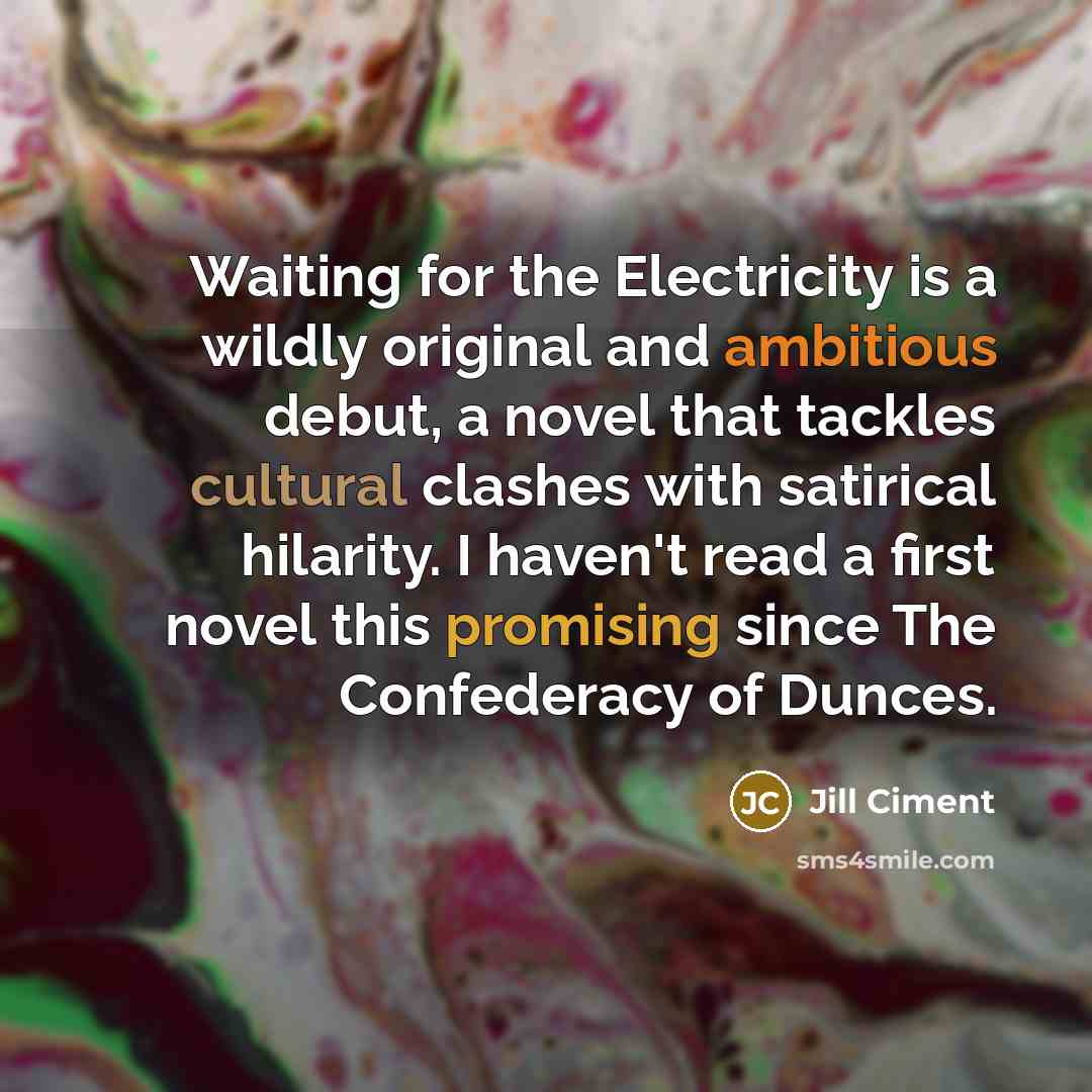 “Waiting for the Electricity is a wildly original and ambitious…” quote by Jill Ciment