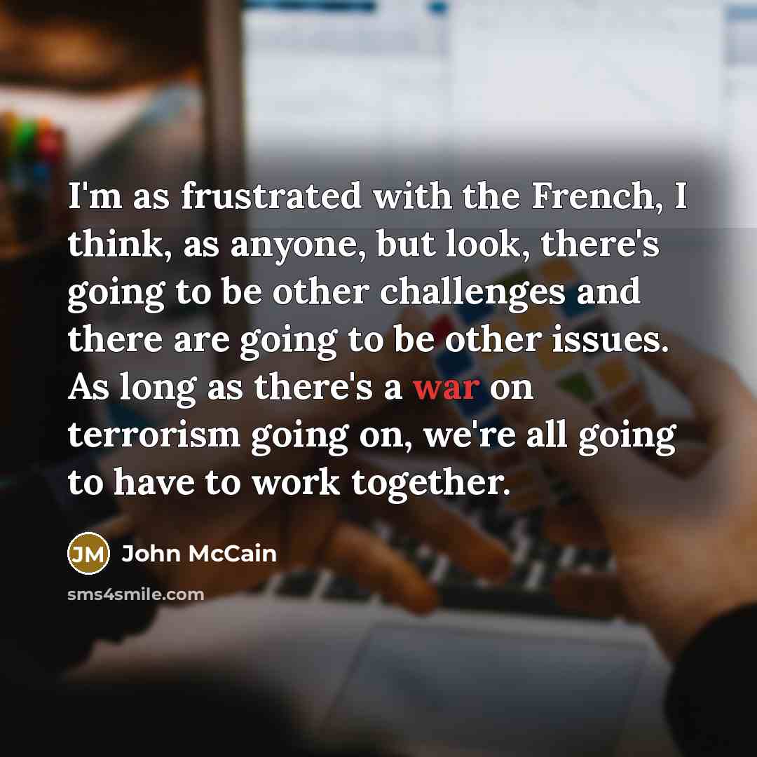“I'm as frustrated with the French, I think, as anyone,…” quote by John McCain