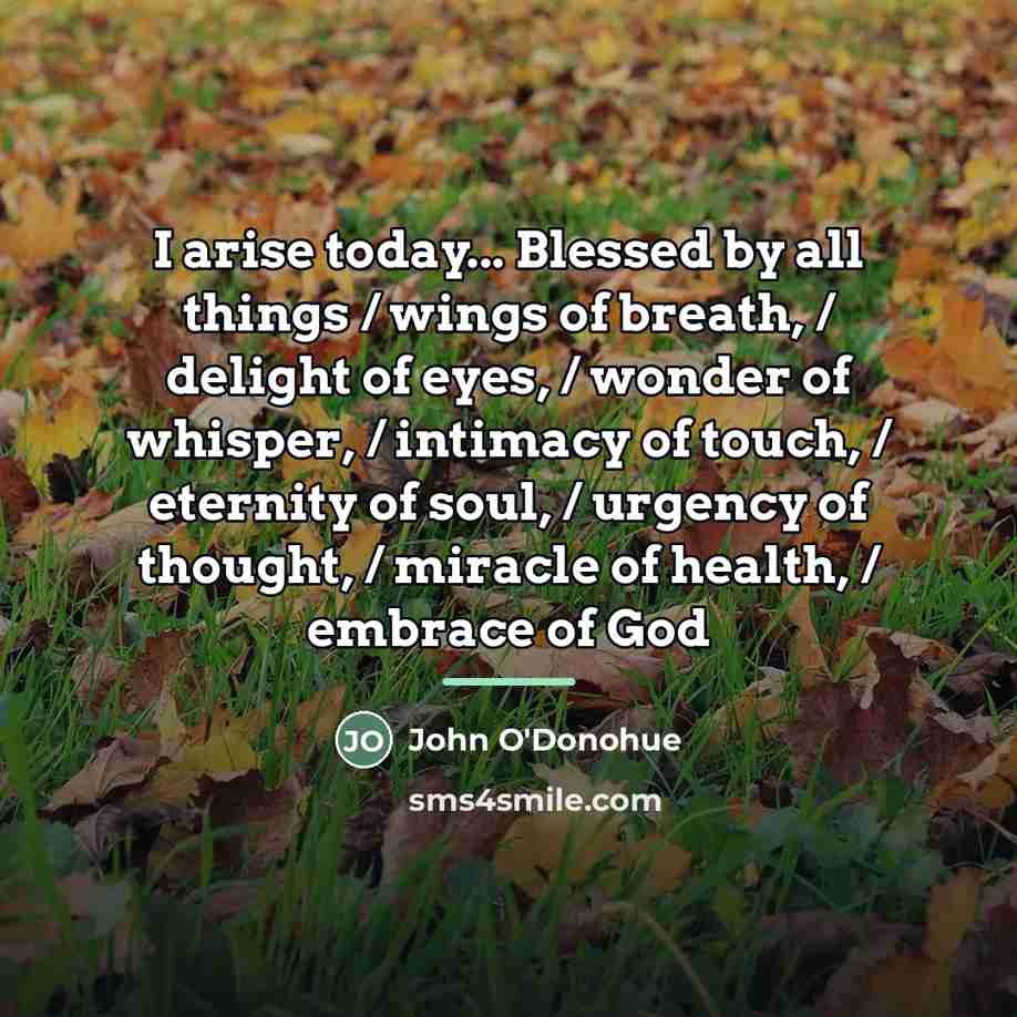 “I arise today... Blessed by all things / wings of…” quote by John O'Donohue