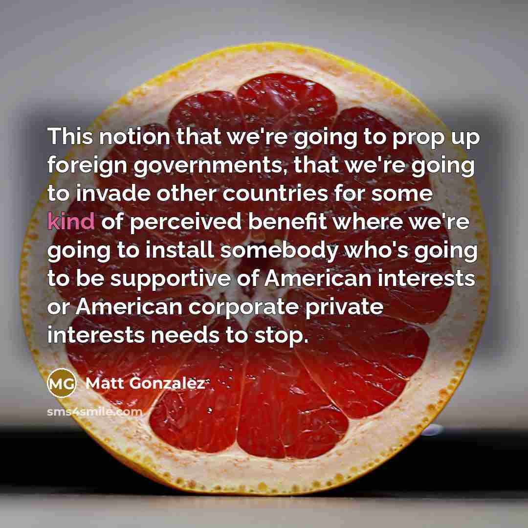 “This notion that we're going to prop up foreign governments,…” quote by Matt Gonzalez
