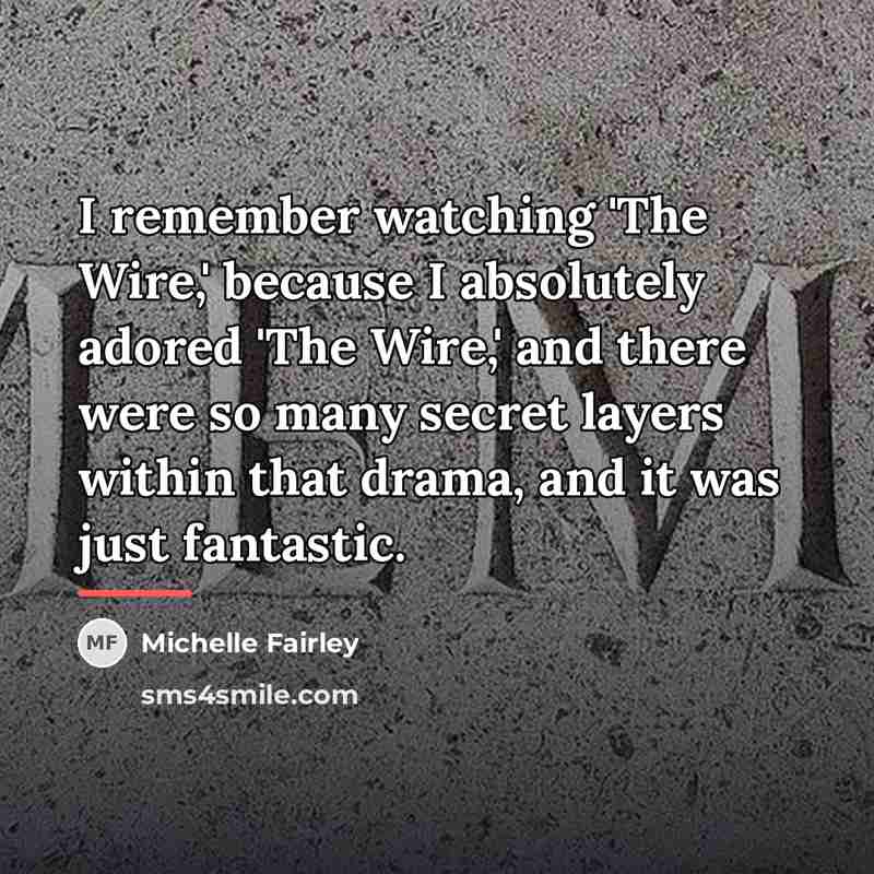 “I remember watching 'The Wire,' because I absolutely adored 'The…” quote by Michelle Fairley