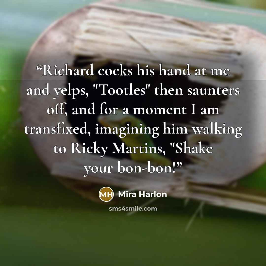 “Richard cocks his hand at me and yelps, "Tootles" then saunters off, and for a moment I am transfixed, imagining him walking to Ricky Martins, "Shake your bon-bon!” quote by Mira Harlon