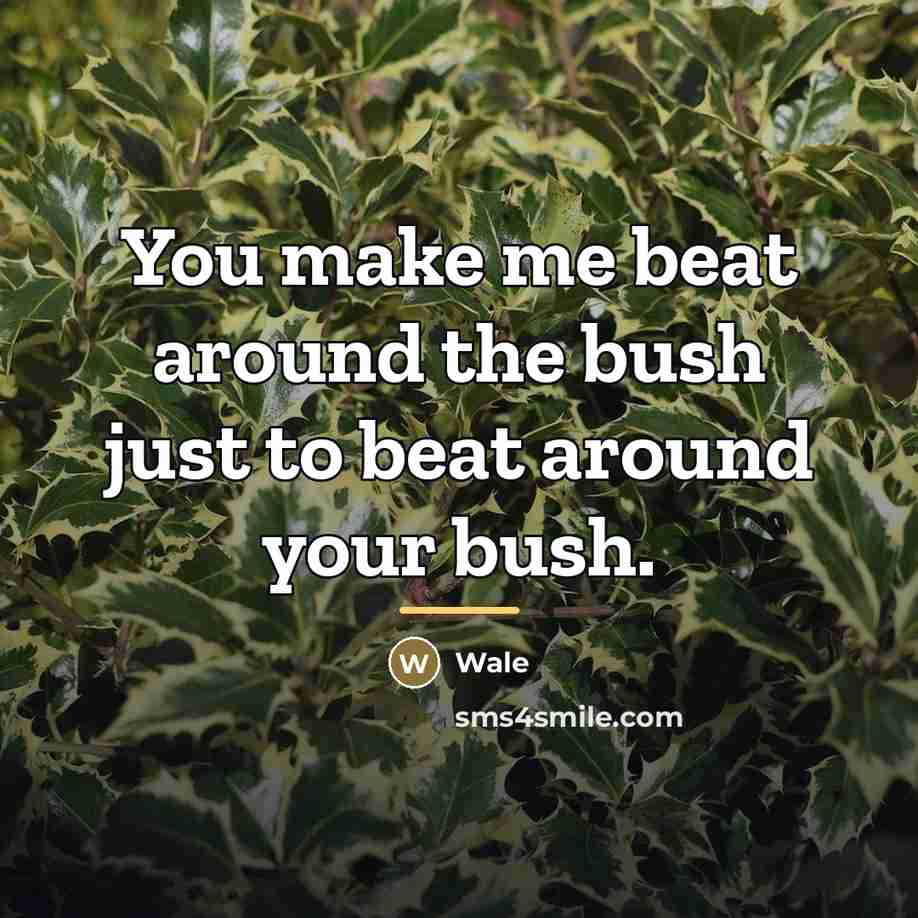 “You make me beat around the bush just to beat…” quote by Wale