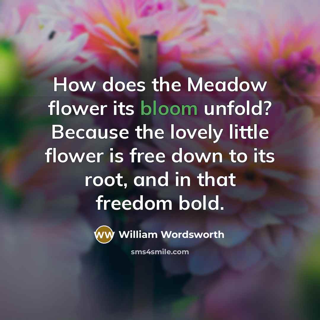 “How does the Meadow flower its bloom unfold? Because the…” quote by William Wordsworth