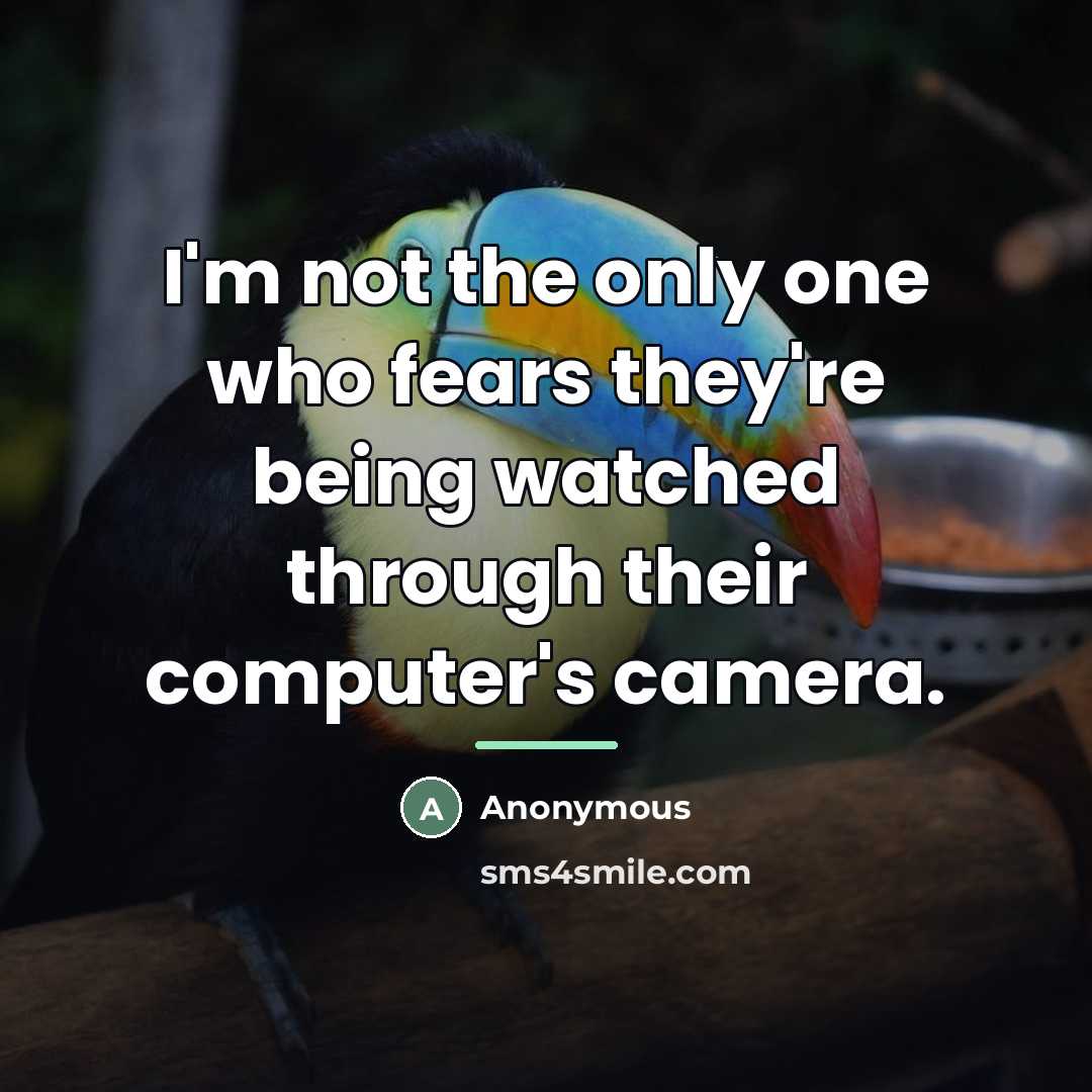 “I'm not the only one who fears they're being watched…” quote by Anonymous
