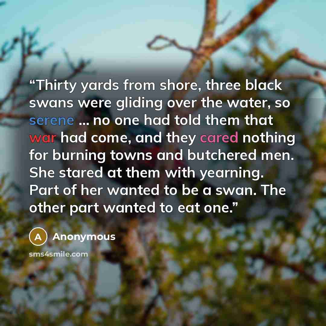 “Thirty yards from shore, three black swans were gliding over the water, so serene … no one had told them that war had come, and they cared nothing for burning towns and butchered men. She stared at them with yearning. Part of her wanted to be a swan. The other part wanted to eat one.” quote by Anonymous