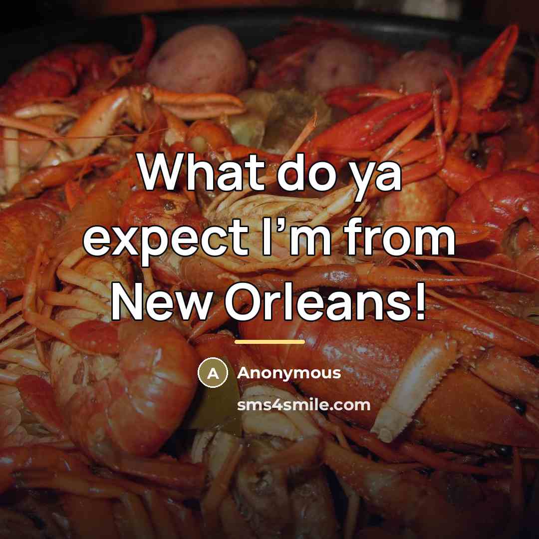“What do ya expect I'm from New Orleans!…” quote by Anonymous
