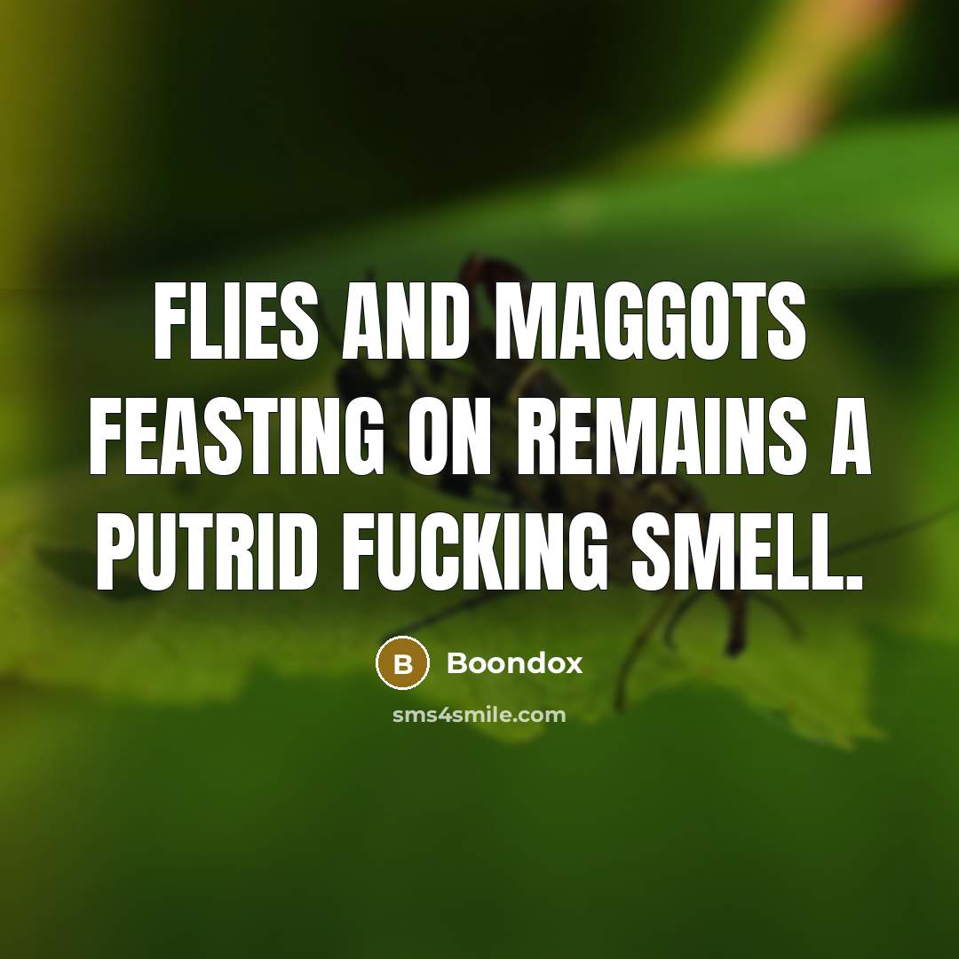 “Flies and maggots feasting on remains a putrid fucking smell.…” quote by Boondox