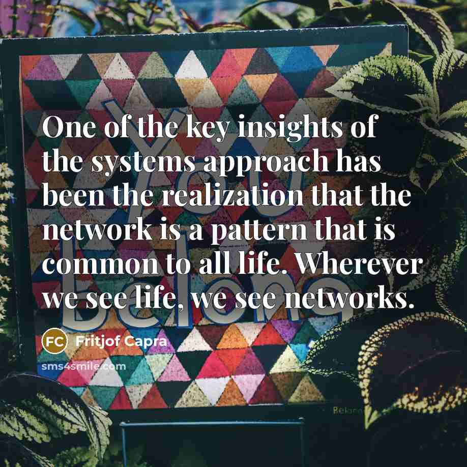 “One of the key insights of the systems approach has…” quote by Fritjof Capra