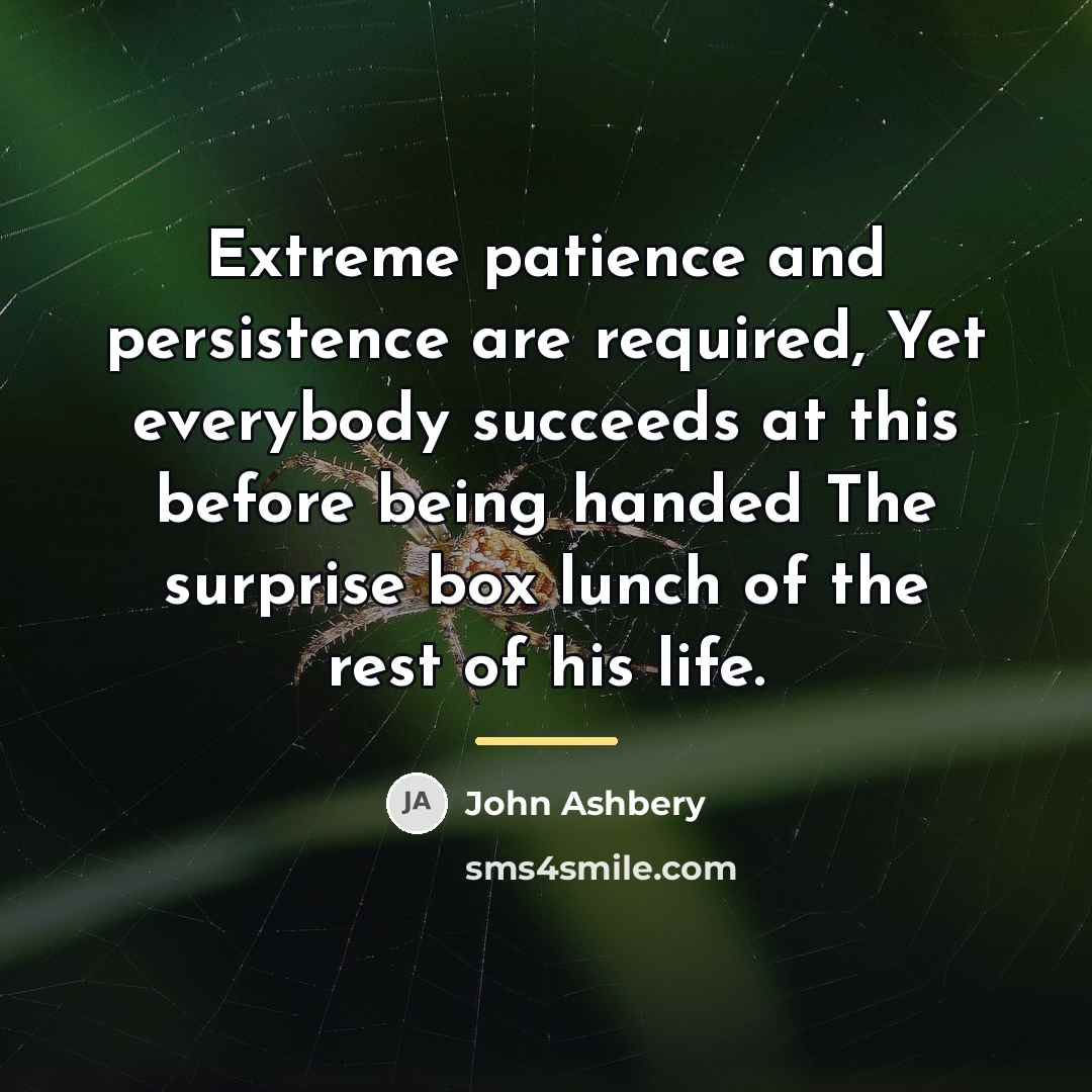 “Extreme patience and persistence are required, Yet everybody succeeds at…” quote by John Ashbery