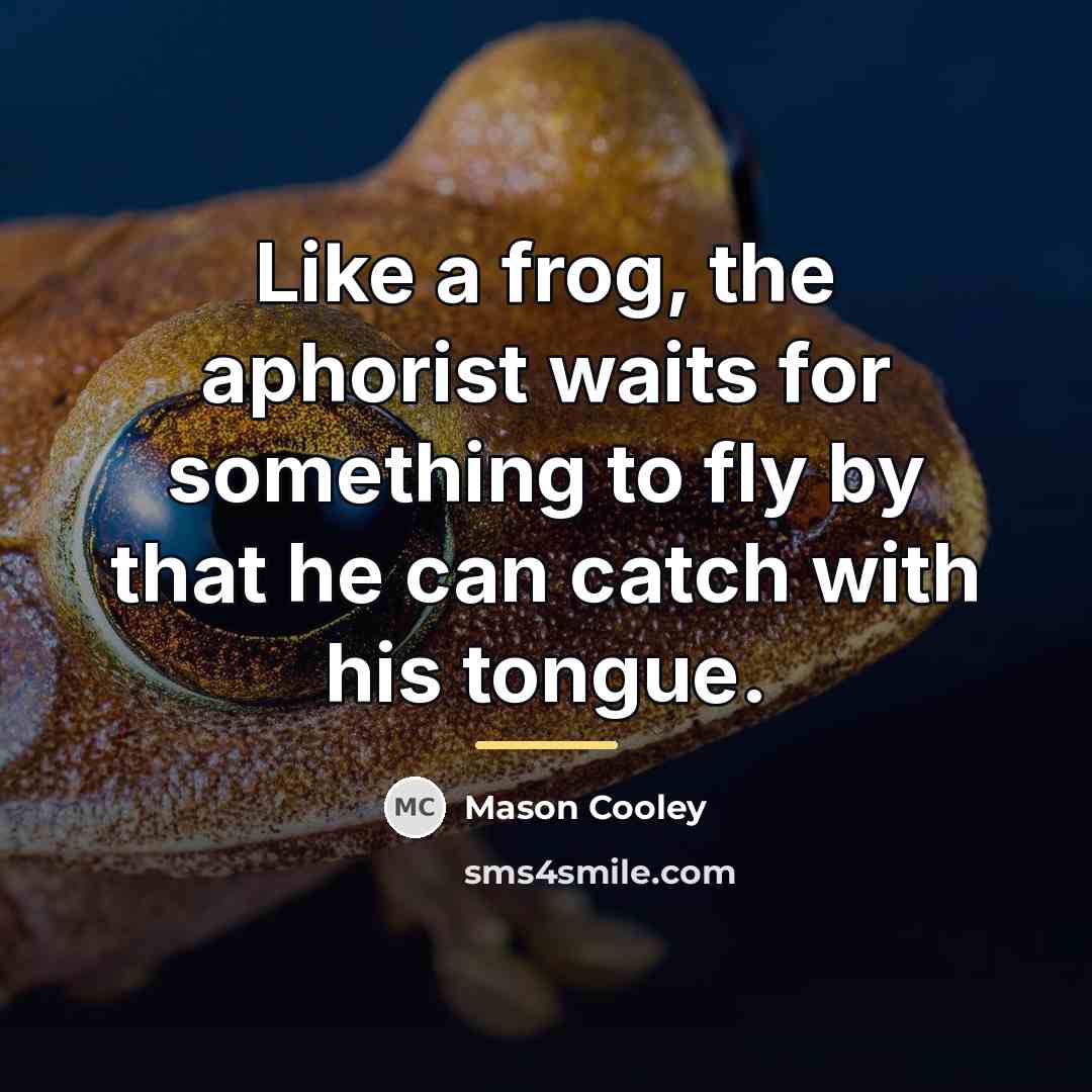 “Like a frog, the aphorist waits for something to fly…” quote by Mason Cooley
