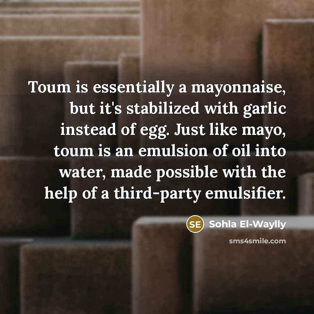 “Toum is essentially a mayonnaise, but it's stabilized with garlic…” quote by Sohla El-Waylly