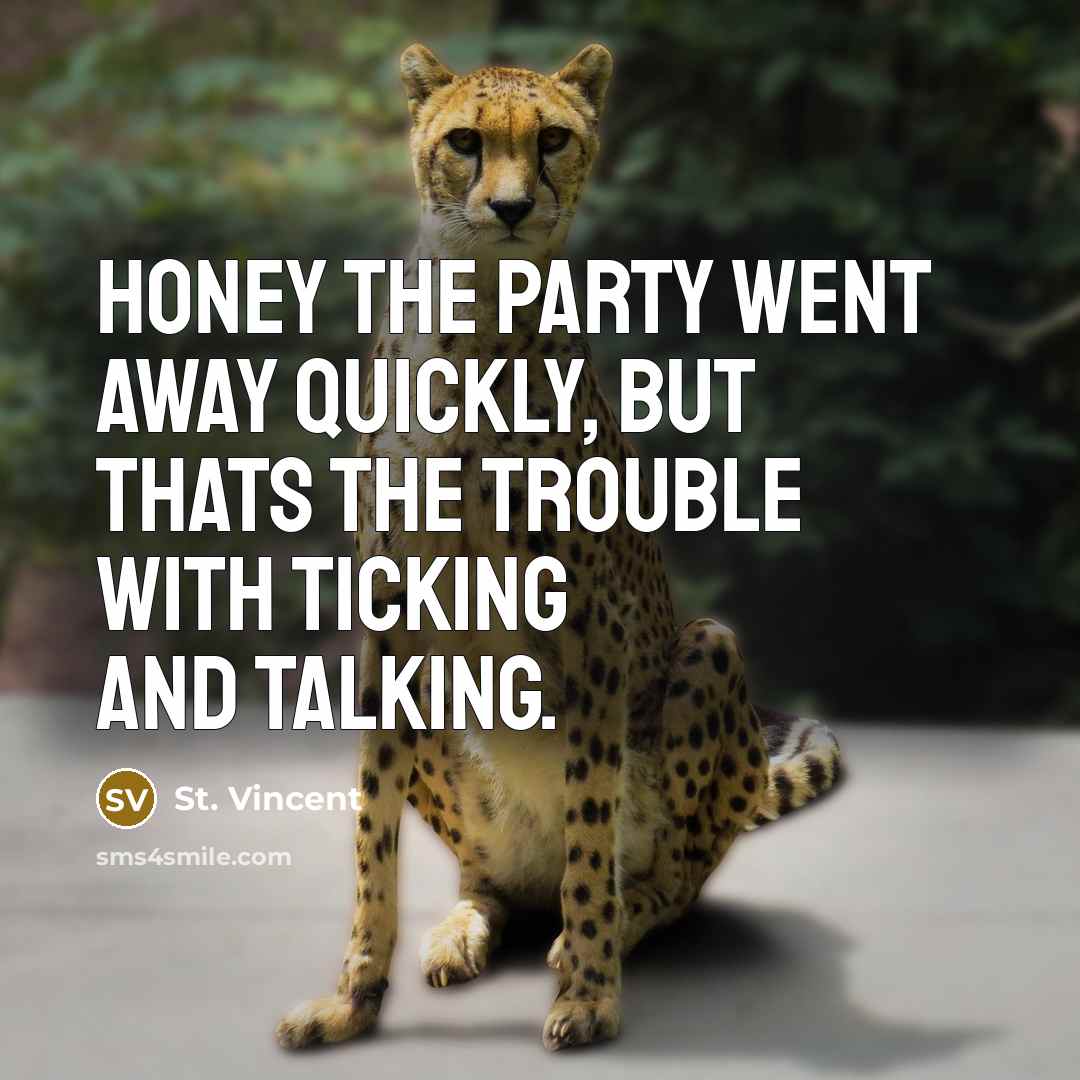 “Honey the party went away quickly, but thats the trouble…” quote by St. Vincent