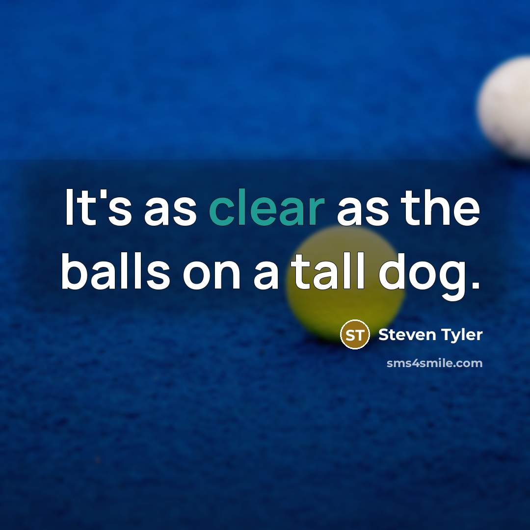 “It's as clear as the balls on a tall dog.…” quote by Steven Tyler