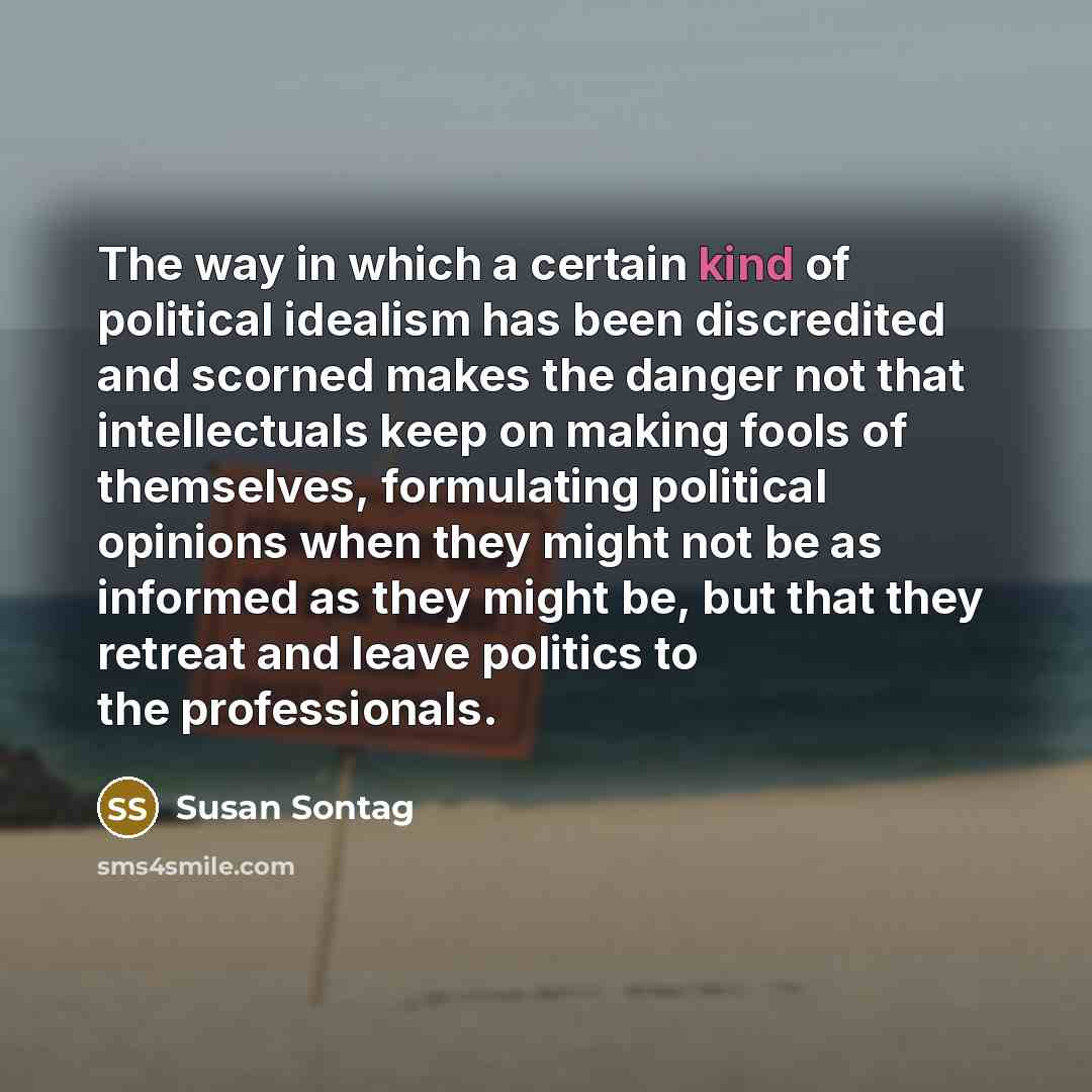 “The way in which a certain kind of political idealism…” quote by Susan Sontag