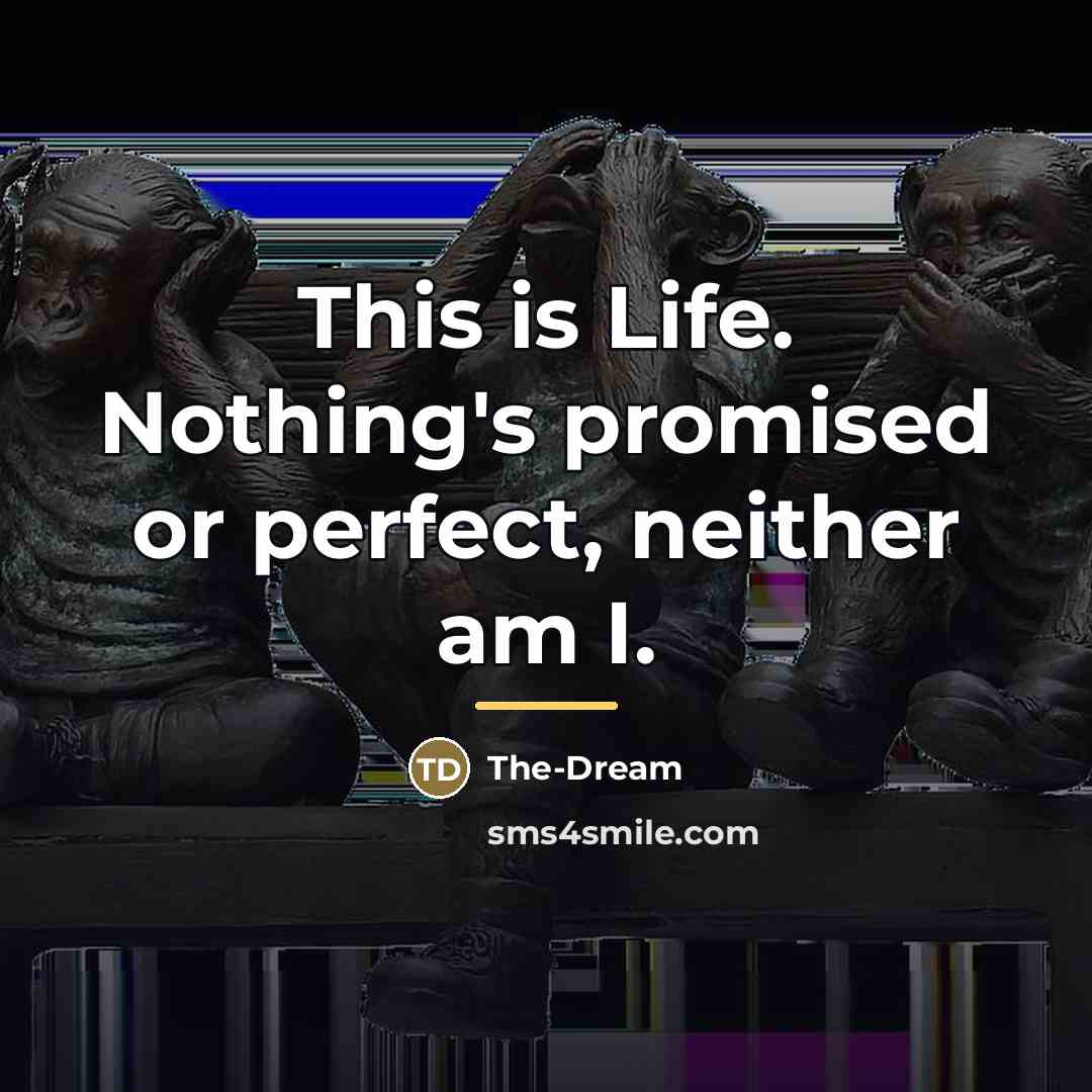 “This is Life. Nothing's promised or perfect, neither am I.…” quote by The-Dream