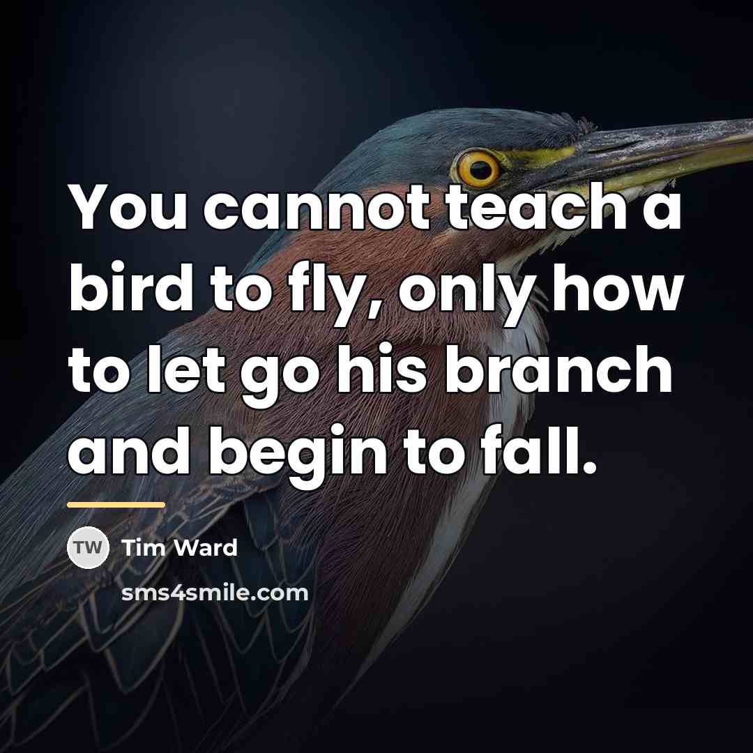 “You cannot teach a bird to fly, only how to…” quote by Tim Ward