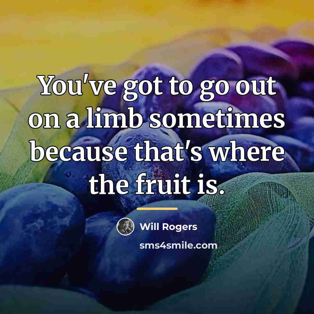 “You've got to go out on a limb sometimes because…” quote by Will Rogers